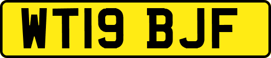 WT19BJF