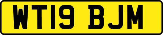 WT19BJM