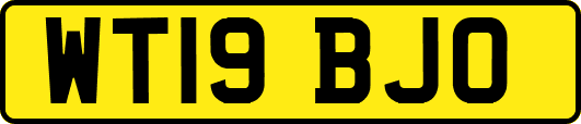 WT19BJO
