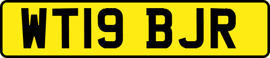 WT19BJR
