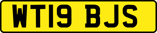 WT19BJS