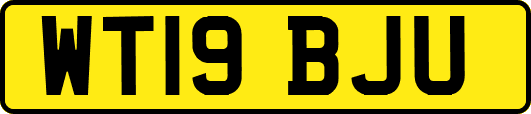 WT19BJU