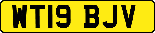 WT19BJV