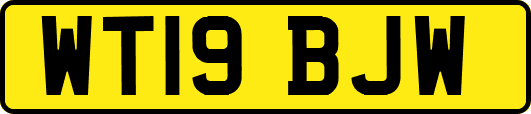WT19BJW