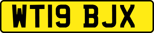 WT19BJX