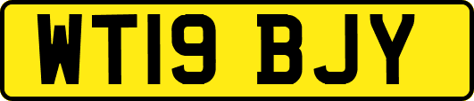 WT19BJY