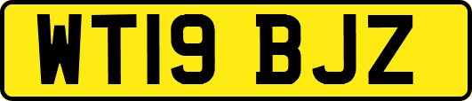 WT19BJZ