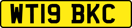 WT19BKC