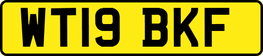 WT19BKF