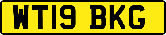 WT19BKG