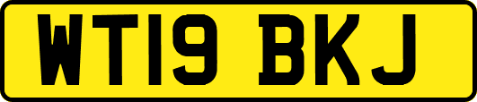 WT19BKJ
