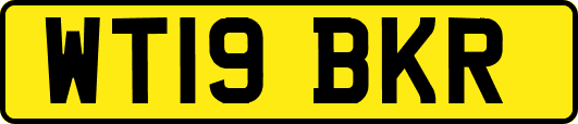 WT19BKR