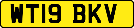 WT19BKV