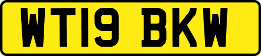 WT19BKW