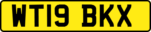 WT19BKX