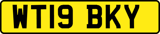 WT19BKY