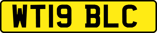 WT19BLC