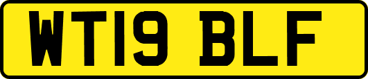 WT19BLF
