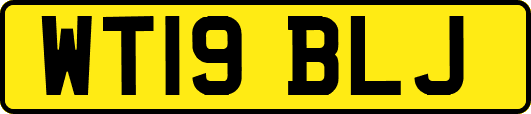WT19BLJ