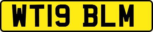 WT19BLM