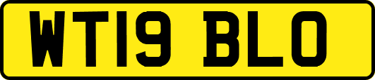 WT19BLO