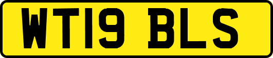 WT19BLS