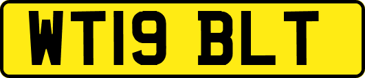 WT19BLT