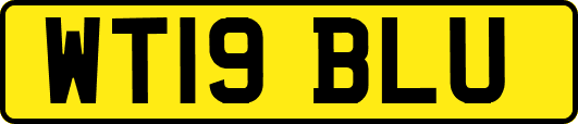WT19BLU