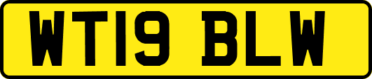 WT19BLW