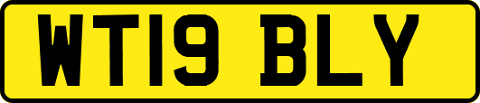 WT19BLY