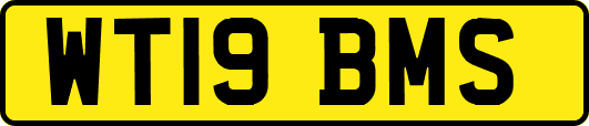 WT19BMS