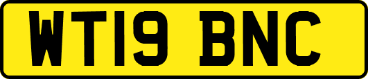WT19BNC
