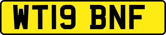 WT19BNF