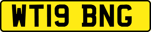 WT19BNG