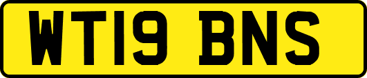 WT19BNS