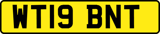 WT19BNT