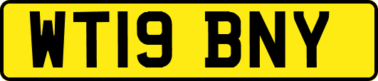 WT19BNY