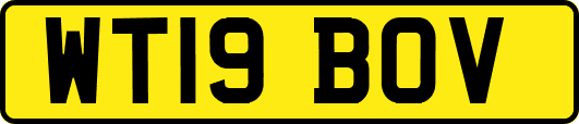WT19BOV