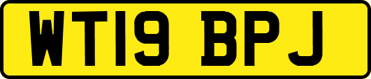 WT19BPJ