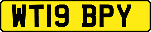 WT19BPY