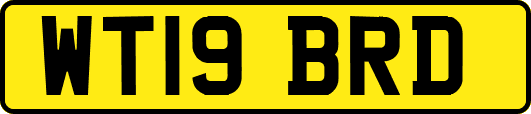 WT19BRD