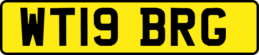 WT19BRG
