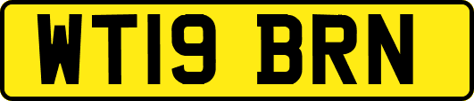 WT19BRN