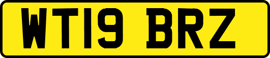 WT19BRZ