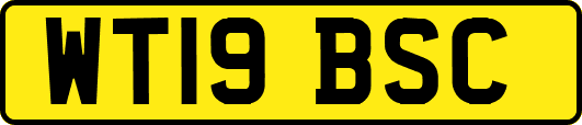WT19BSC