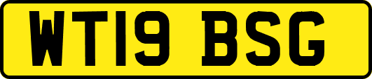 WT19BSG