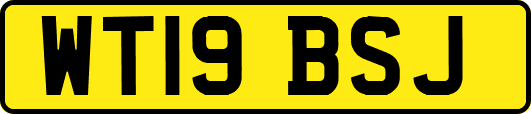 WT19BSJ