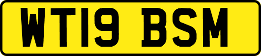 WT19BSM