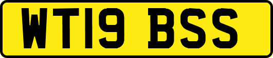 WT19BSS
