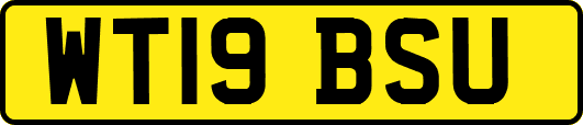 WT19BSU